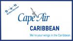 FS9/FSX/FSX Steam AI Cape Air Caribbean Flight Plans BN Islanders